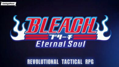 BLEACH Eternal Soul cover shut down