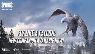 falcon in pubg mobile lite, falcon companion