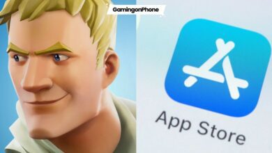 Apple Epic Developer Account, Fortnite App Store