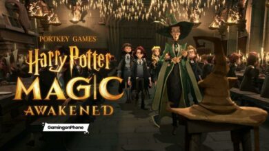 Harry Potter Magic Awakened Game Launch Hat School Cover