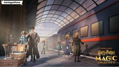 Harry Potter Magic Awakened Train Station People Support Game Cover