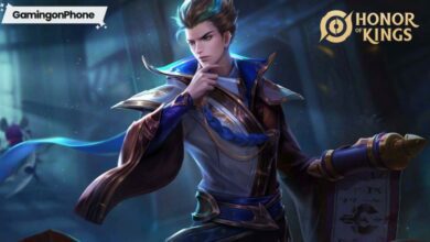 Honor of Kings Male Character Game Cover, Honor of Kings regional launch