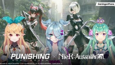 Punishing Gray Raven NieR Automata Collaboration