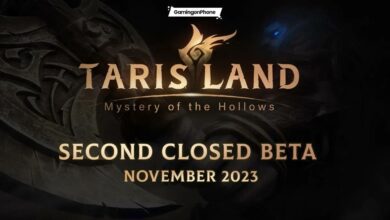 Tarisland second closed beta cover