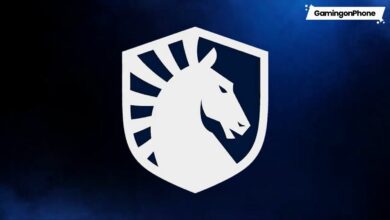 Team Liquid cover, Team Liquid aqcuires STUN.GG