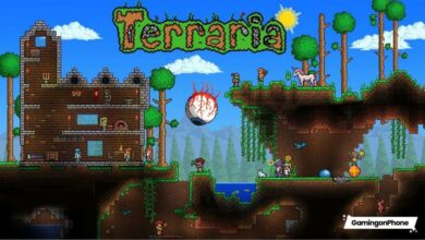 Terraria Game Cover