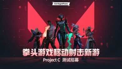 Valorant Mobile China closed beta