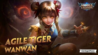 Wanwan Mobile Legends Game Cover